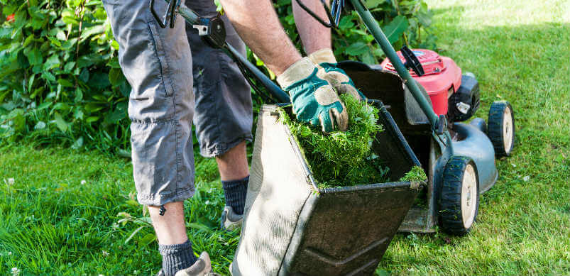 Lawnmower With Grass Box