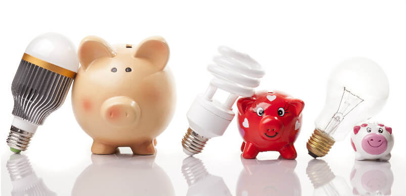 Pig Banks And Led Bulbs