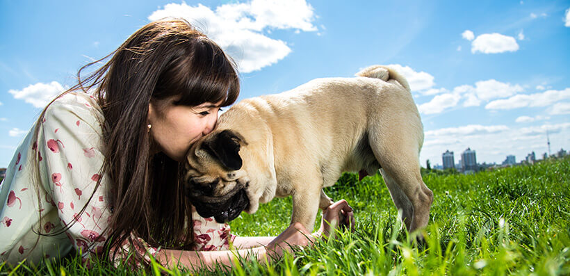 Owner Kissing Her Dog