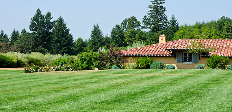 Large Garden With Striped Lawn