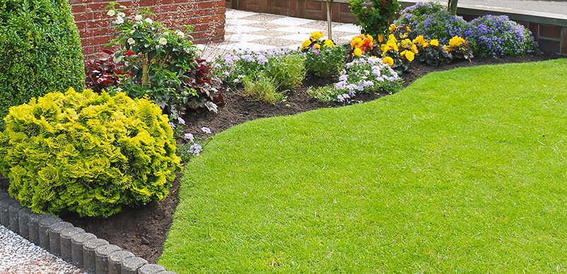 Small Front Garden With Green Grass