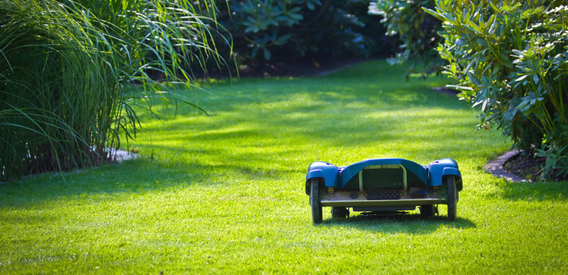 Robot Lawn Mower Mowing Lawn