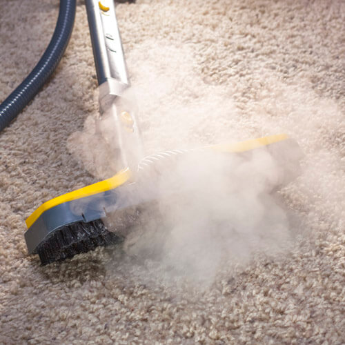 Steam Cleaner Cleaning Carpet