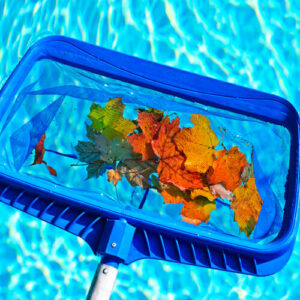 Net Skimming Leaves From Pool