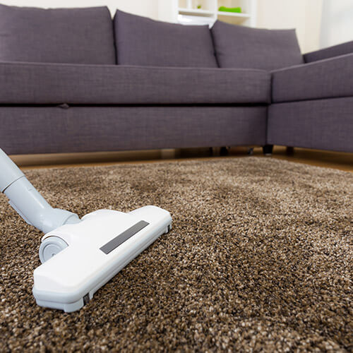 Vacuum Cleaner Cleaning Brown Carpet