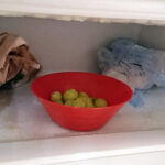 Grapes In Bowl In Freezer