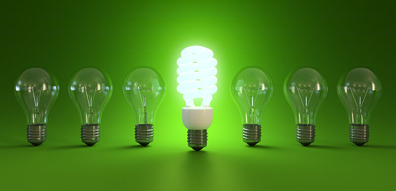 Energy Saving Light Bulb Lit Up Around Standard Bulbs