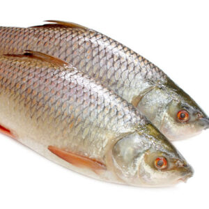 Two Raw Fish On White Background