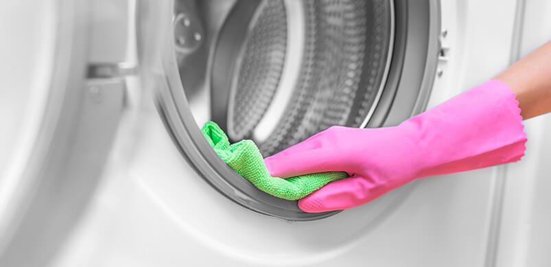 Hand In Rubber Glove Cleaning Tumble Dryer