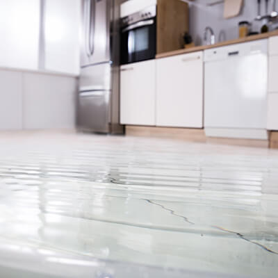 Close-up Of Wet Floor In Kitchen