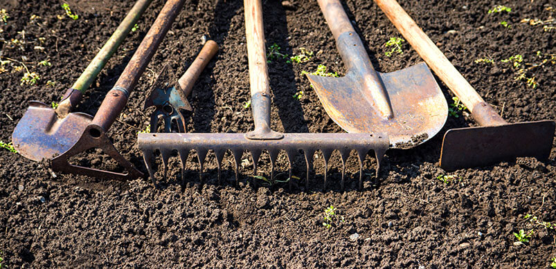 Rusty Garden Tools