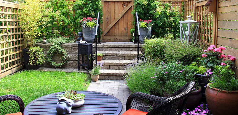 Small Garden With Colourful Plants and Furniture