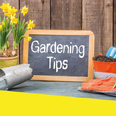 Gardening tips that will save you a fortune!