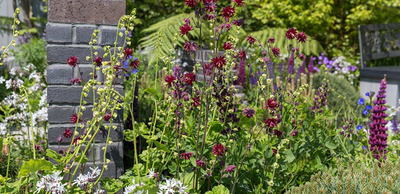 Simple Garden Greenery With Pink And Purple Flowers