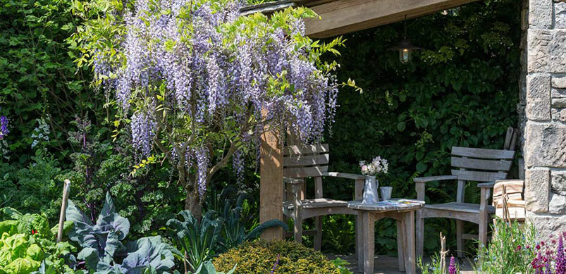 Garden With Tall Purple Flowers And Greenery