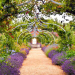 Flower Garden And Pathway Under Arch