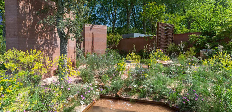 Spacious Garden With Scattered Plants and Trees