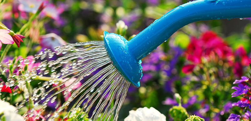 Blue Watering Can Watering Pants