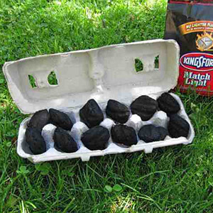 Egg Carton With BBQ Coal