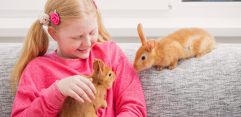 Little Girl With Two Rabbits On Sofa