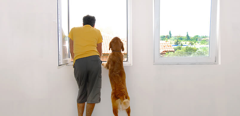 Man And Dog Looking Through Open Window