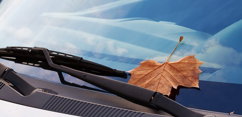 Close Up On Wiper Blade With Autumn Leaf