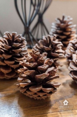 Cinnamon Scented Pinecones On Table