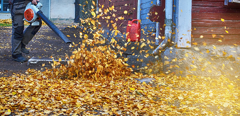 Garden Vacuum Clearing Autumn Leaves