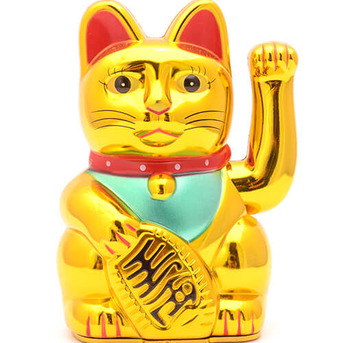 Chinese Gold Cat On White Background