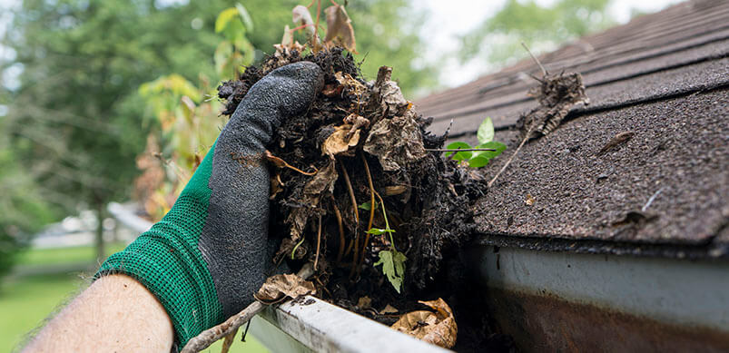 Gloved Hand Cleaning Gutters 