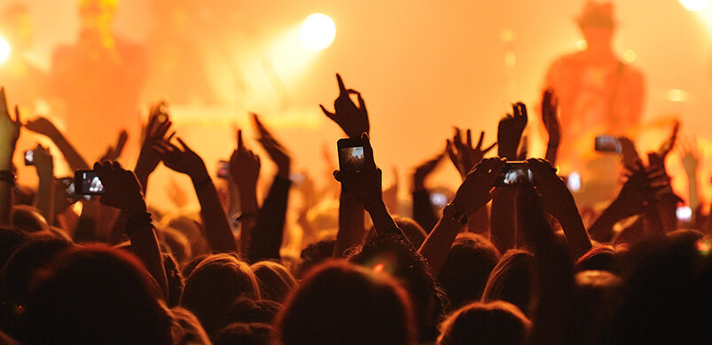 Crowd Cheering At Concert