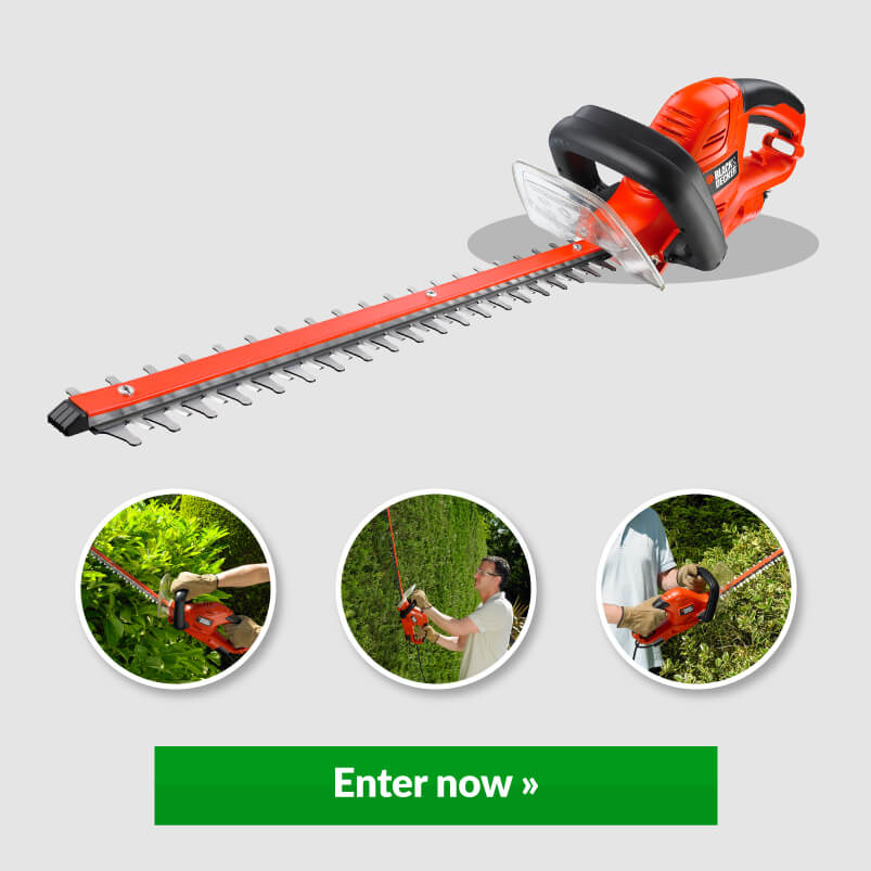 Image Of Hedge Trimmer With Enter Now Button