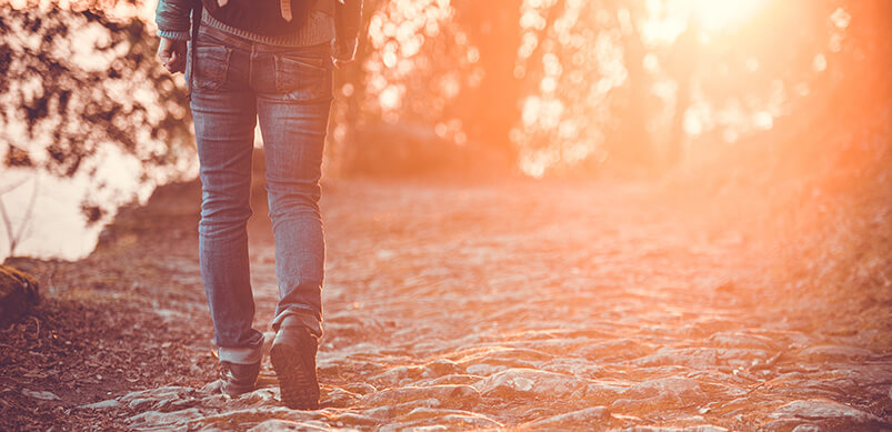 Man Walking Through Woods At Sunset