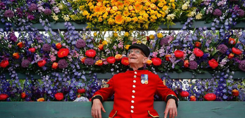 Chelsea Pensioner Admiring Flower Display