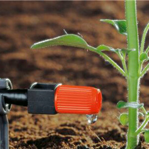 Micro-Drip Spraying Plant