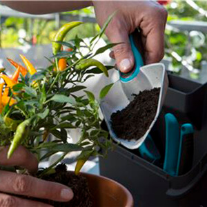 Person Using The Gardena Balcony Box