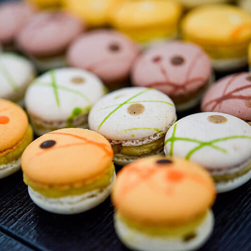 Macaroons From The Drawing Room