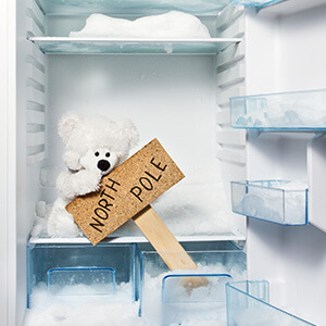 Polar Bear Toy In Refrigerator With North Pole Sign