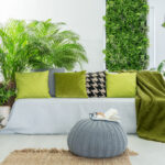 Home With Outdoor Plants And Colours