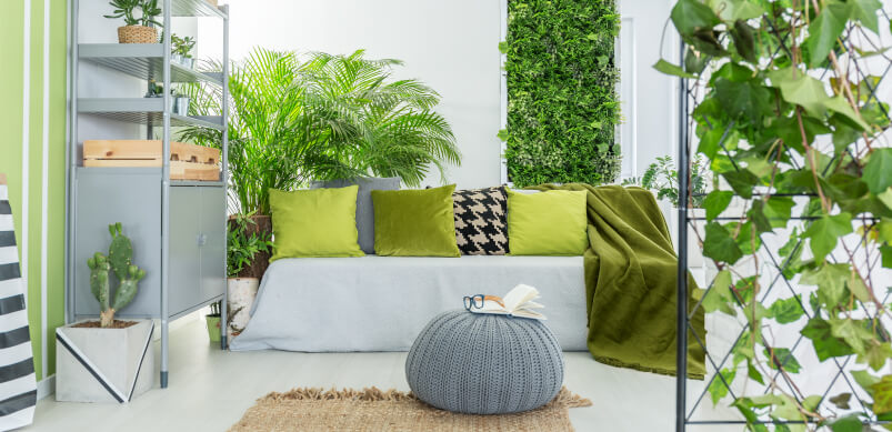 Home With Outdoor Plants And Colours