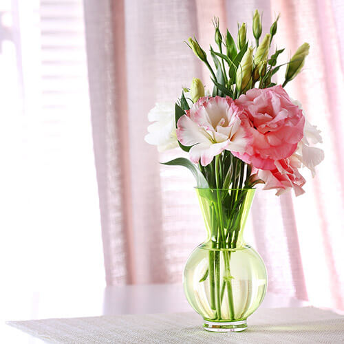 Pink Flowers In Window