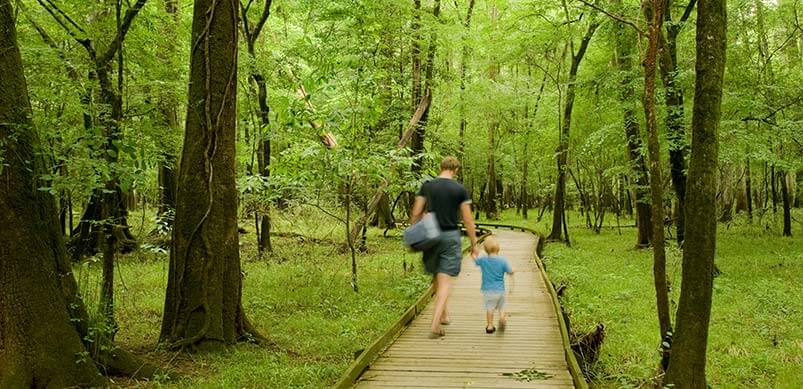 Family Walking In National Trust Gardens