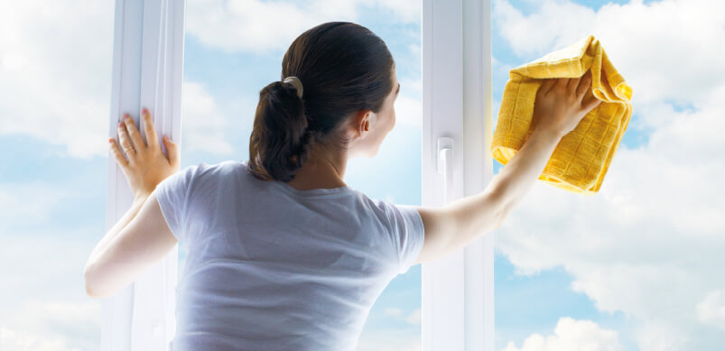 Woman Cleaning Windows