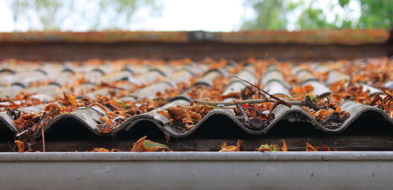 Gutters Clogged With Leaves