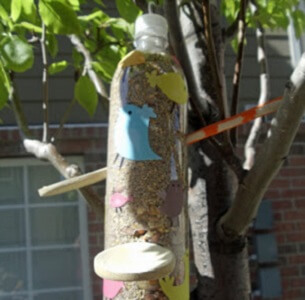 Bird Feeder From Plastic Bottle