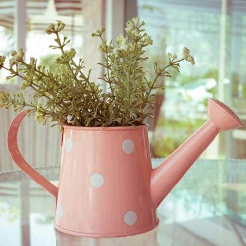 Upcycled Watering Can Into Plant Pot