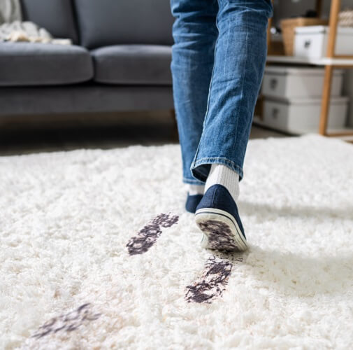  Muddy Footprints On Carpet