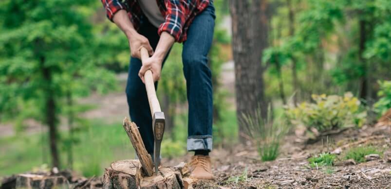 Man Chopping Wood