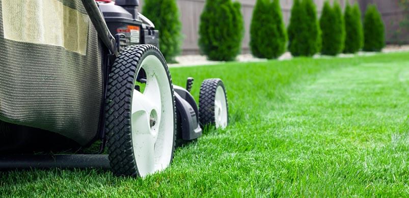 Lawnmower on Grass