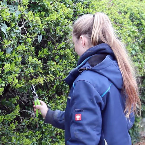 Amy Pruning garden With Tool